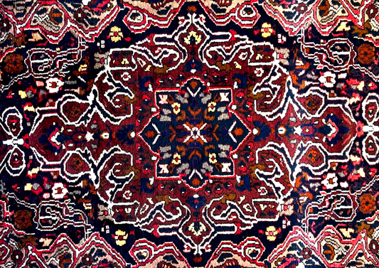 5'5" x 8'10" Hand-Knotted 100% Wool Pile Bakhtiarie Area Rug - Carpet