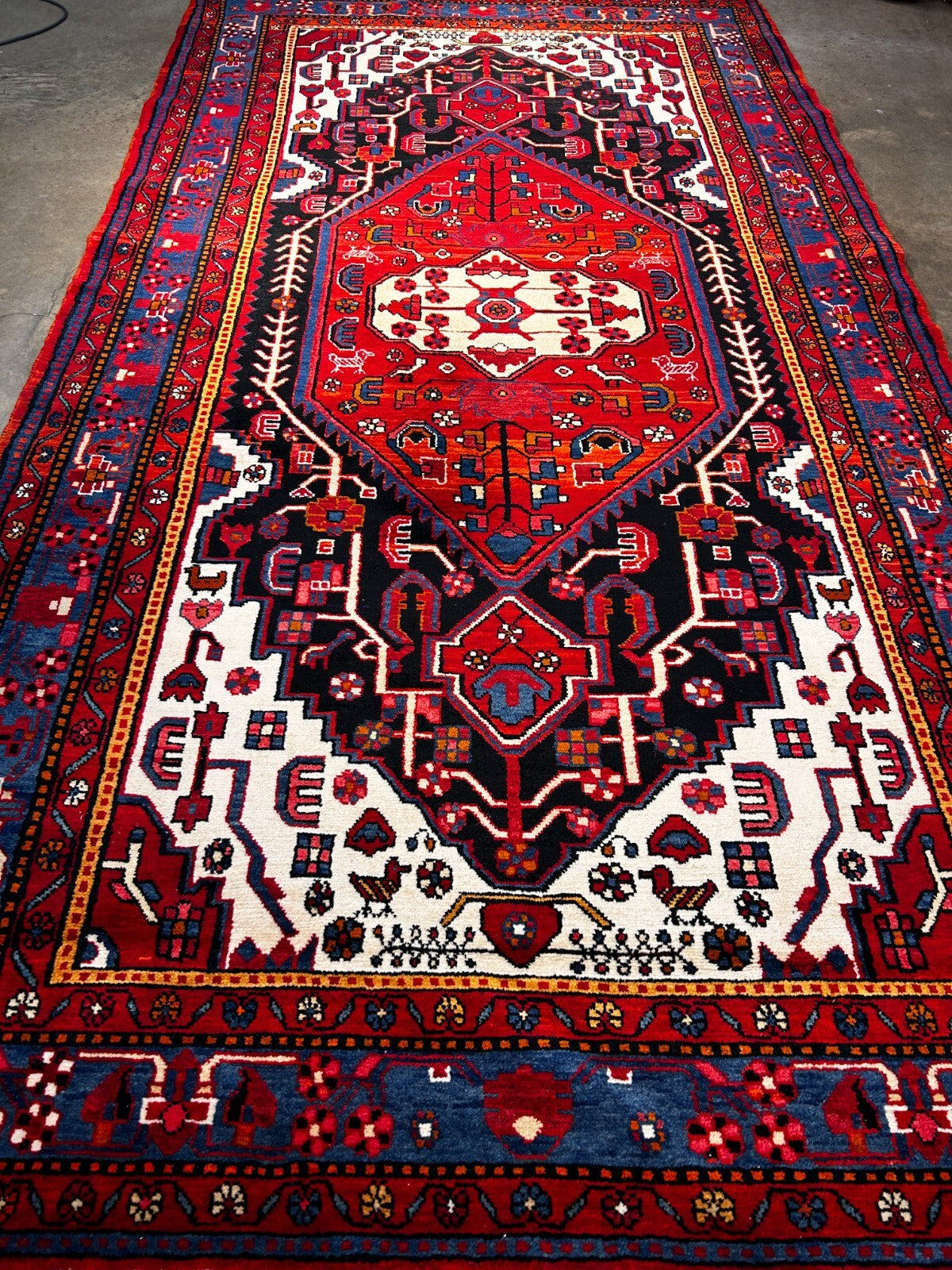 5'10" x 10'11" Hand-Knotted 100% Wool Pile Nahavande Area Rug