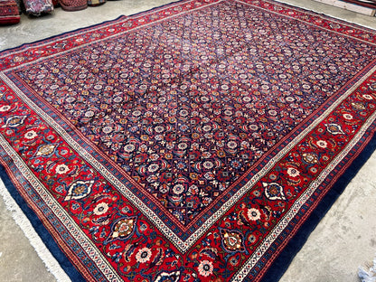 10'5"x14' Hand-Knotted 100% Wool Pile All-over Herati Rug