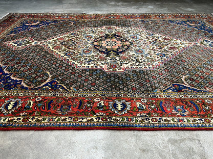 6'7"x9'9" Hand-Knotted 100% Wool Pile Bakhtiarie Carpet - Area Rug