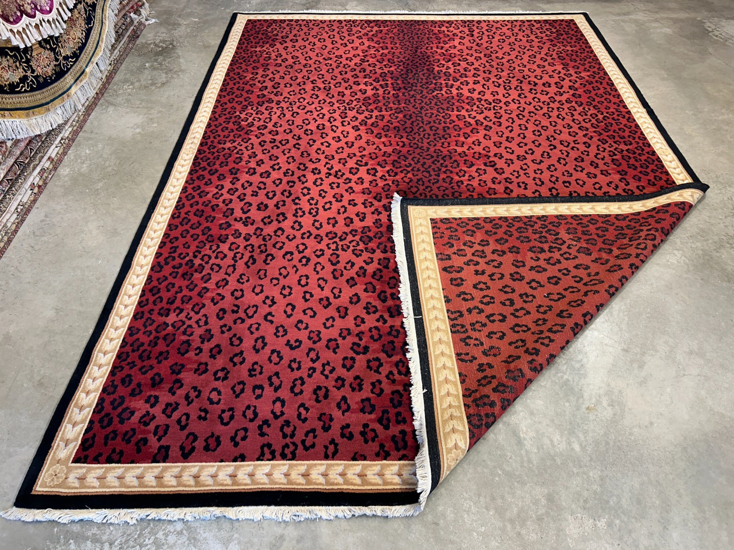 8'x11'2" Hand-Knotted 100% Wool Pile Tibetian Area Rug - Carpet