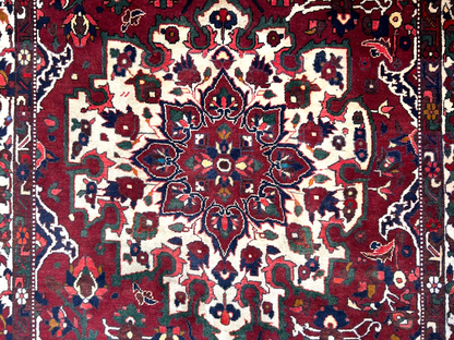 6'8"x9'9" Hand-Knotted 100% Wool Pile Bakhtiarie Carpet - Area Rug