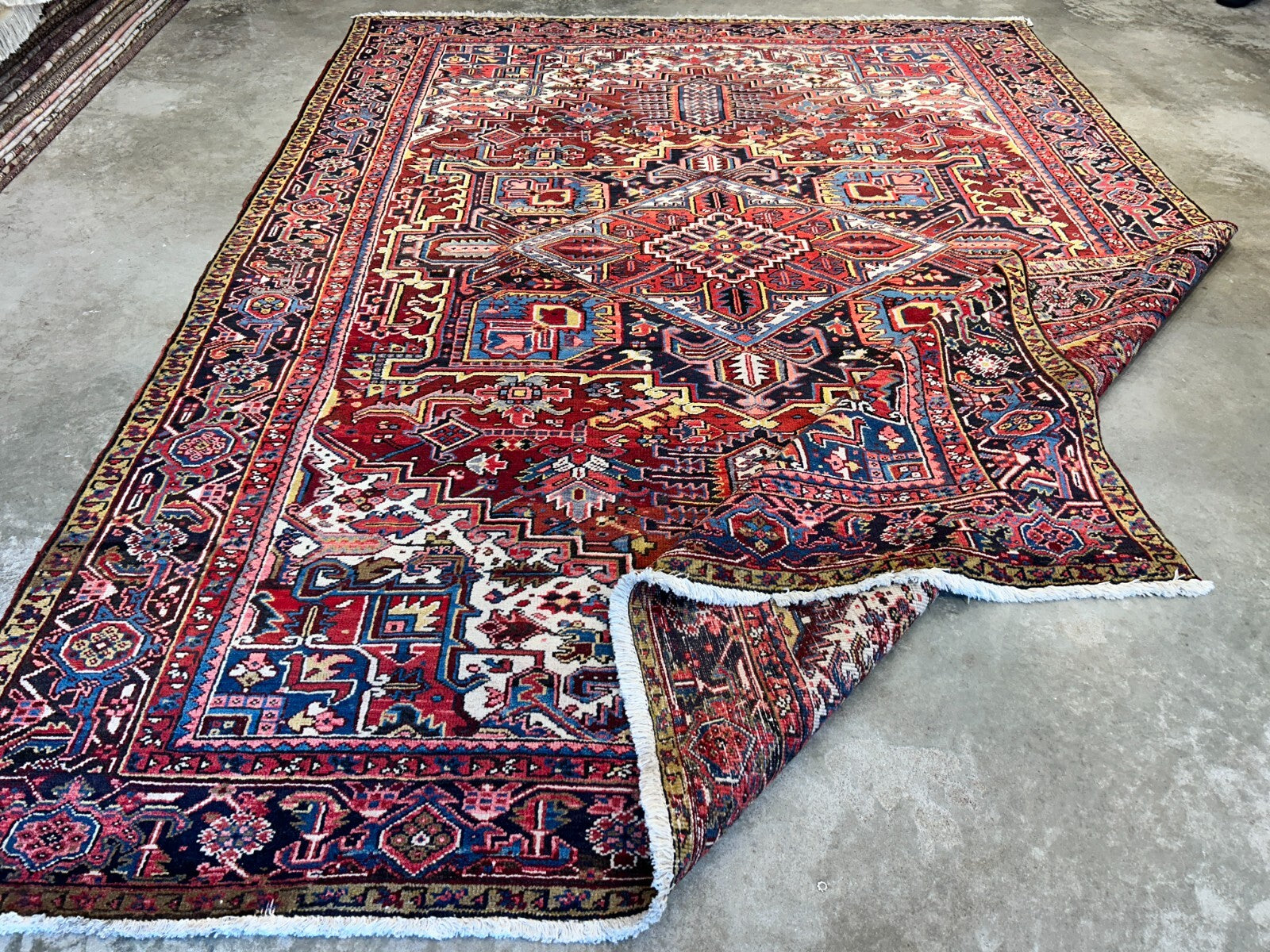 8'10"x12'1" Hand-Knotted 100% Wool Pile Herize Rug
