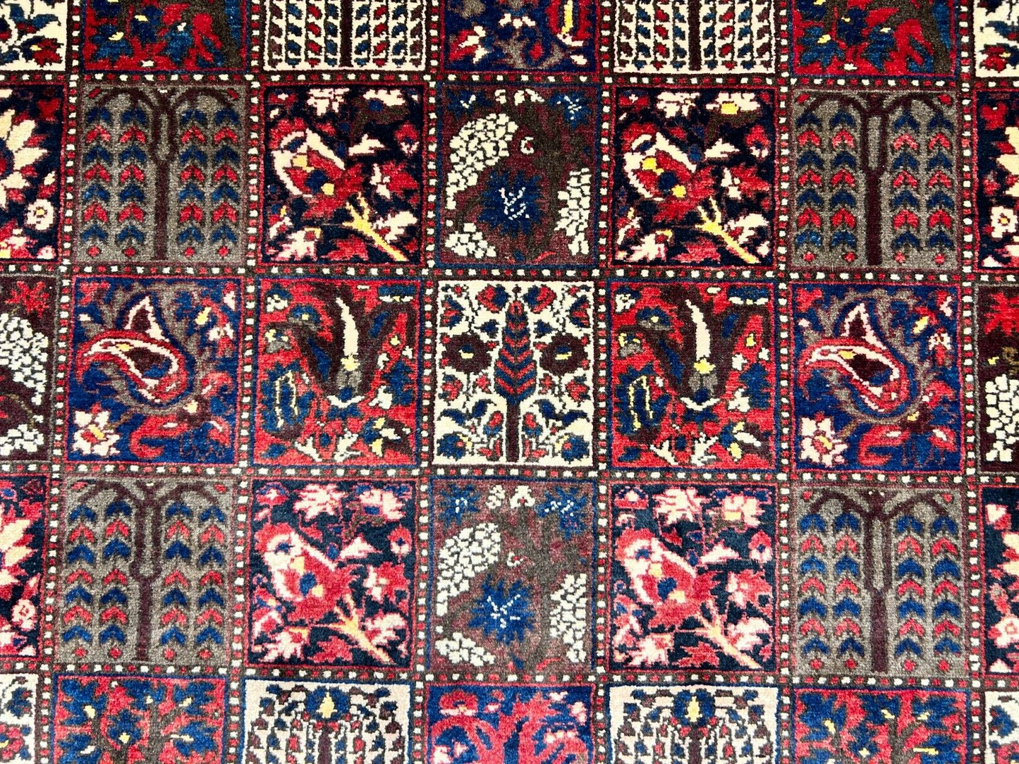 7'2"x10'2" Hand-Knotted 100% Lamb Wool Bakhtiarie Carpet - Area Rug