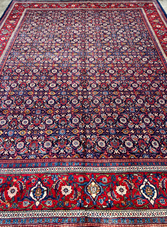 10'5"x14' Hand-Knotted 100% Wool Pile All-over Herati Rug