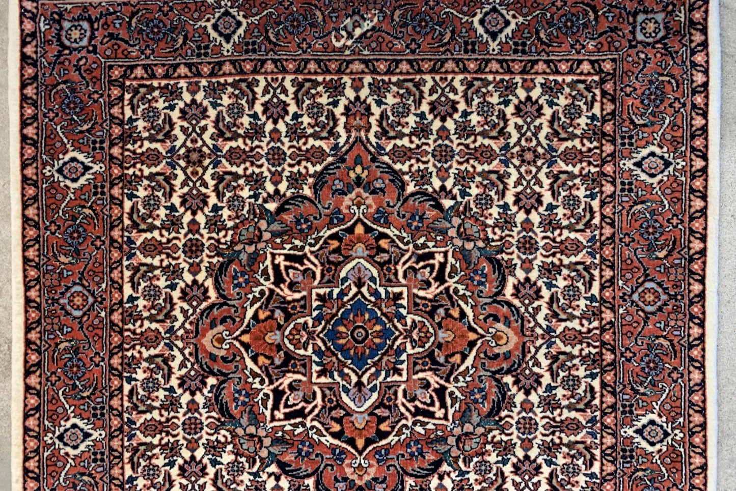 3'1"x5'1'' Hand-Knotted 100% Wool Pile Formal Bidjare Area Rug - Carpet