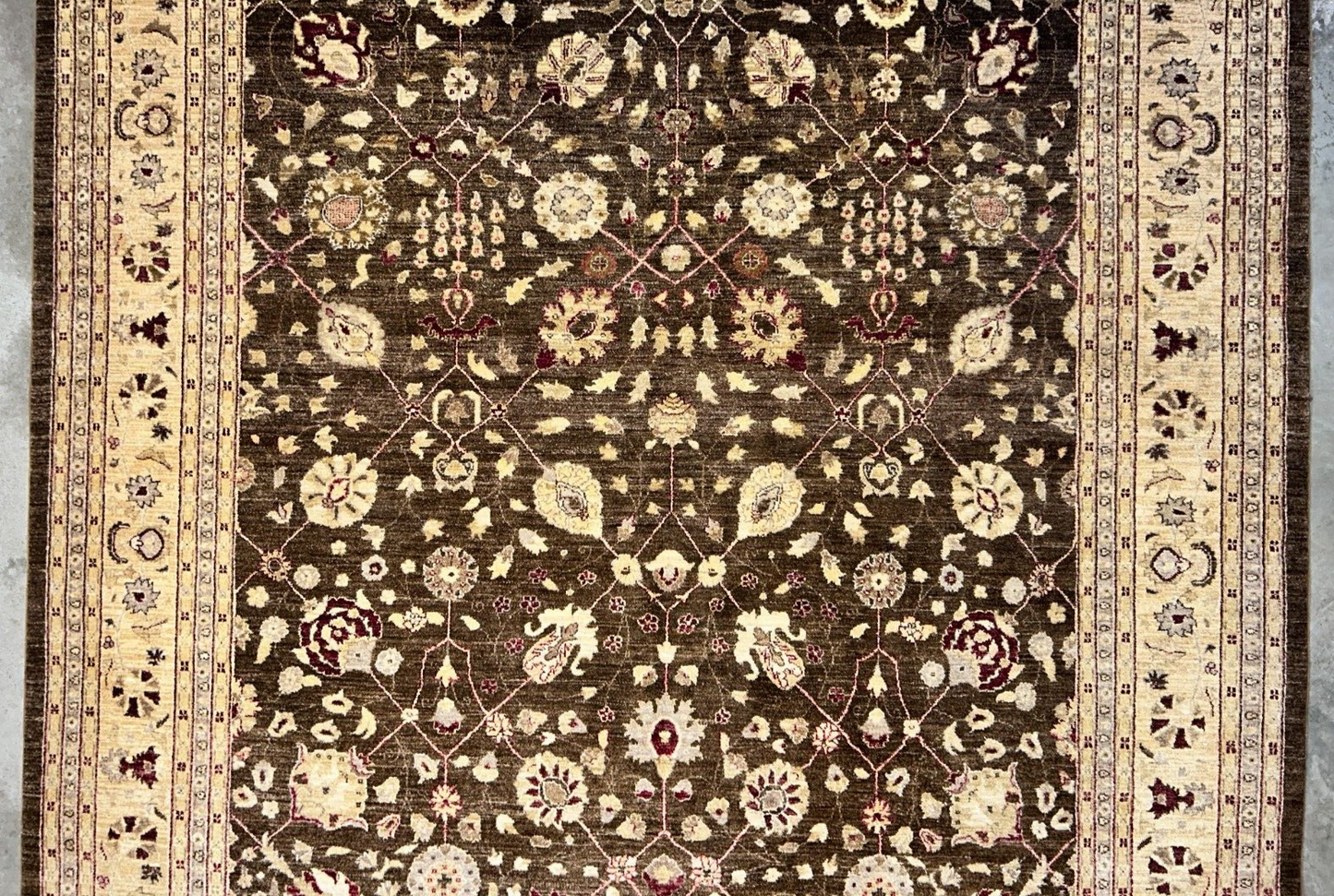 9'3"x12' Hand-Knotted 100% Wool Pile Agra Design Carpet - Area Rug