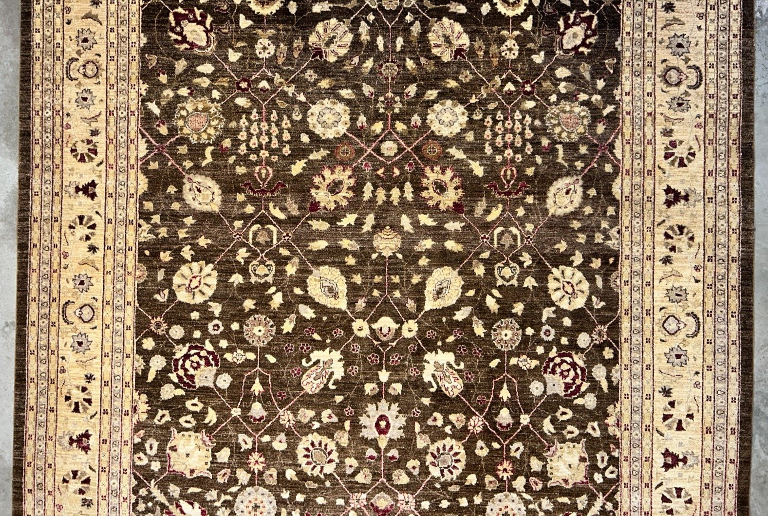 9'3"x12' Hand-Knotted 100% Wool Pile Agra Design Carpet - Area Rug
