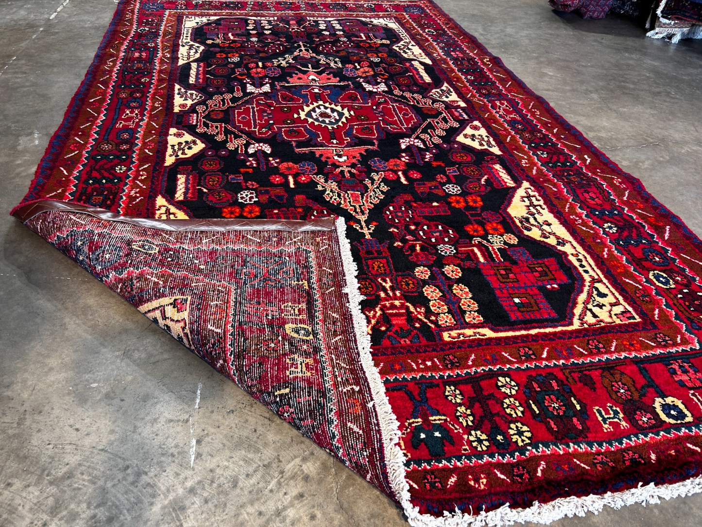 5'6" x 9'1'' Hand-Knotted 100% Lamb Wool Pile Nahavande Area Rug - Carpet