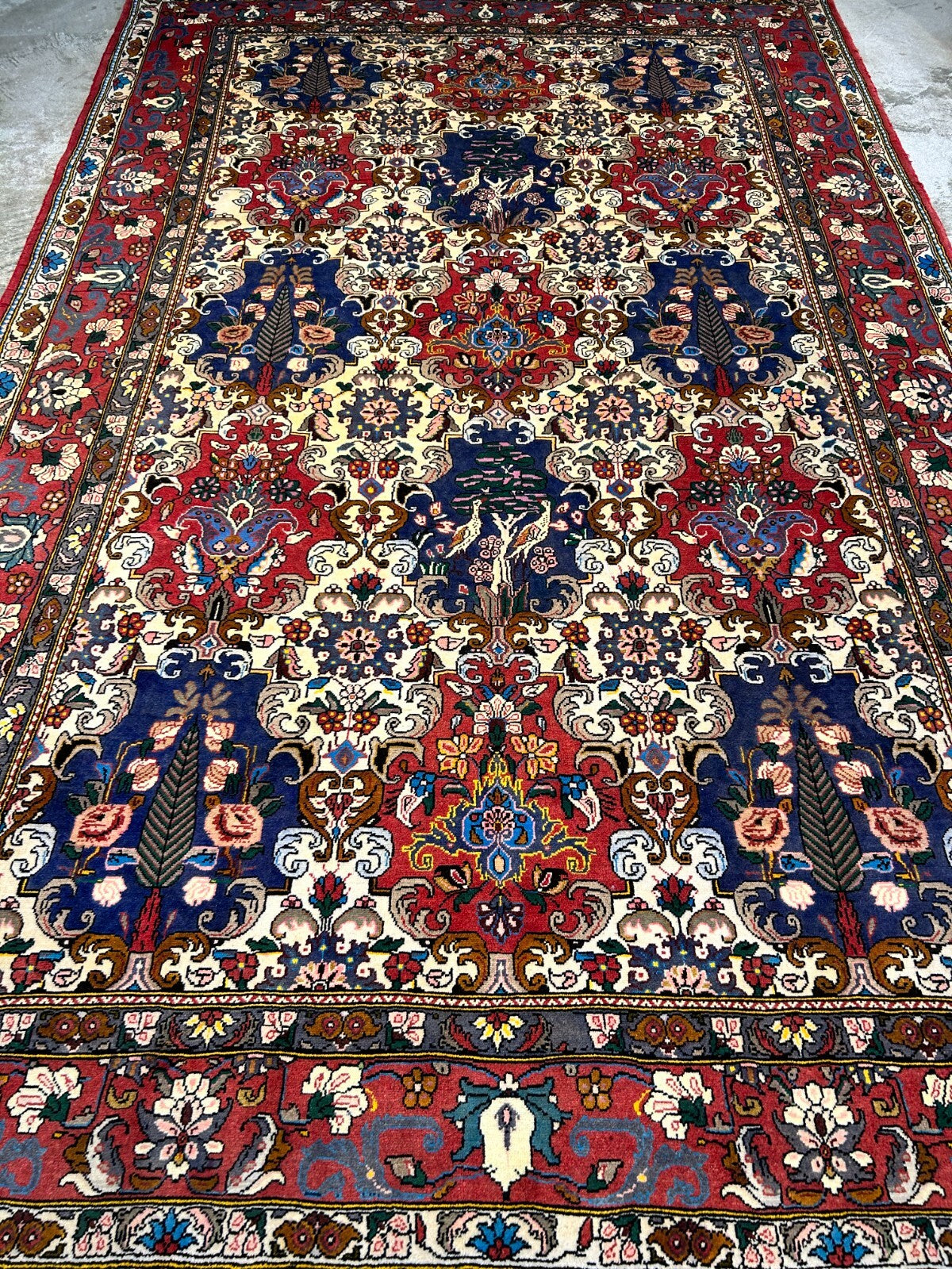 6'7"x10'4" Hand-Knotted 100% Lamb Wool Bakhtiarie Carpet - Area Rug