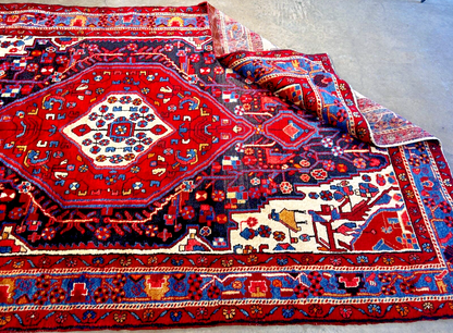 5'4" x 9'5" Hand-Knotted 100% Wool Carpet - Hamadane Area Rug