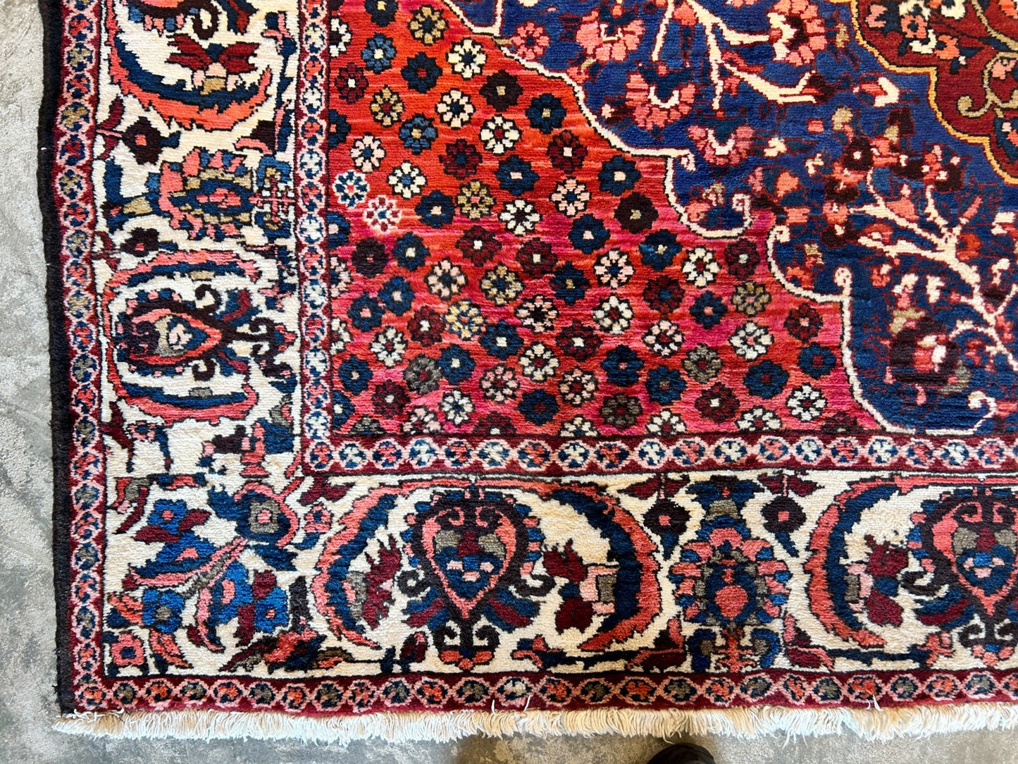 8'4"x11'6" Hand-Knotted 100% Wool Pile Bakhtiarie Rug