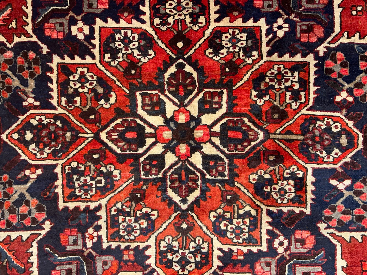 10'3"x12'2" Hand-Knotted 100% Wool Pile Bakhtiarie Rug