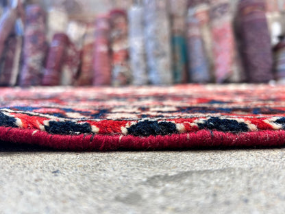 10'2"x13'1" Hand-Knotted 100% Wool Pile Bakhtiarie Rug