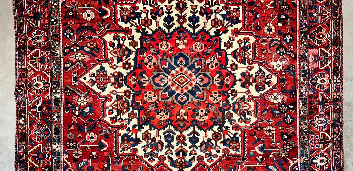 10'2"x13'1" Hand-Knotted 100% Wool Pile Bakhtiarie Rug