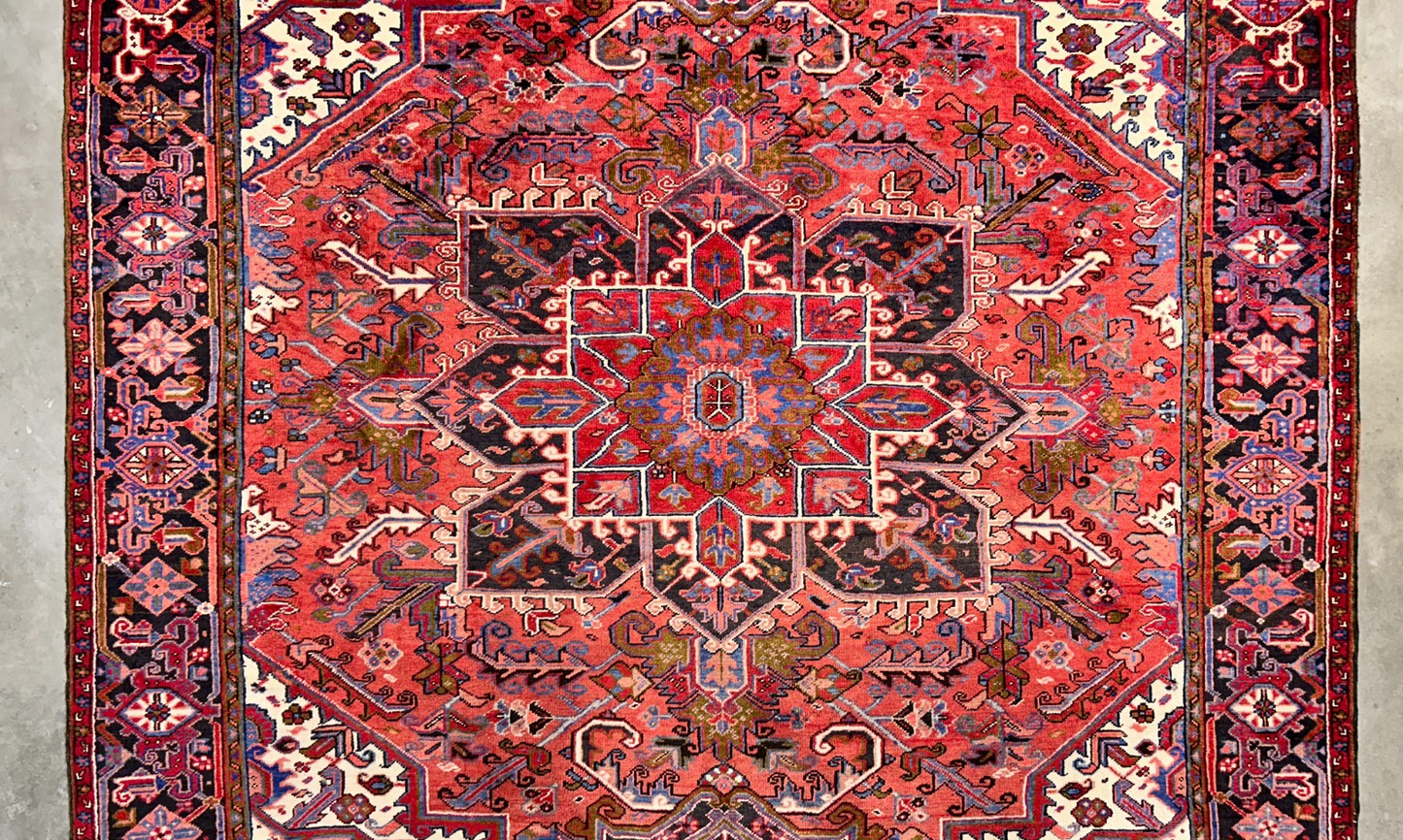 8'9"x11'4" Hand-Knotted 100% Wool Pile Herize Rug