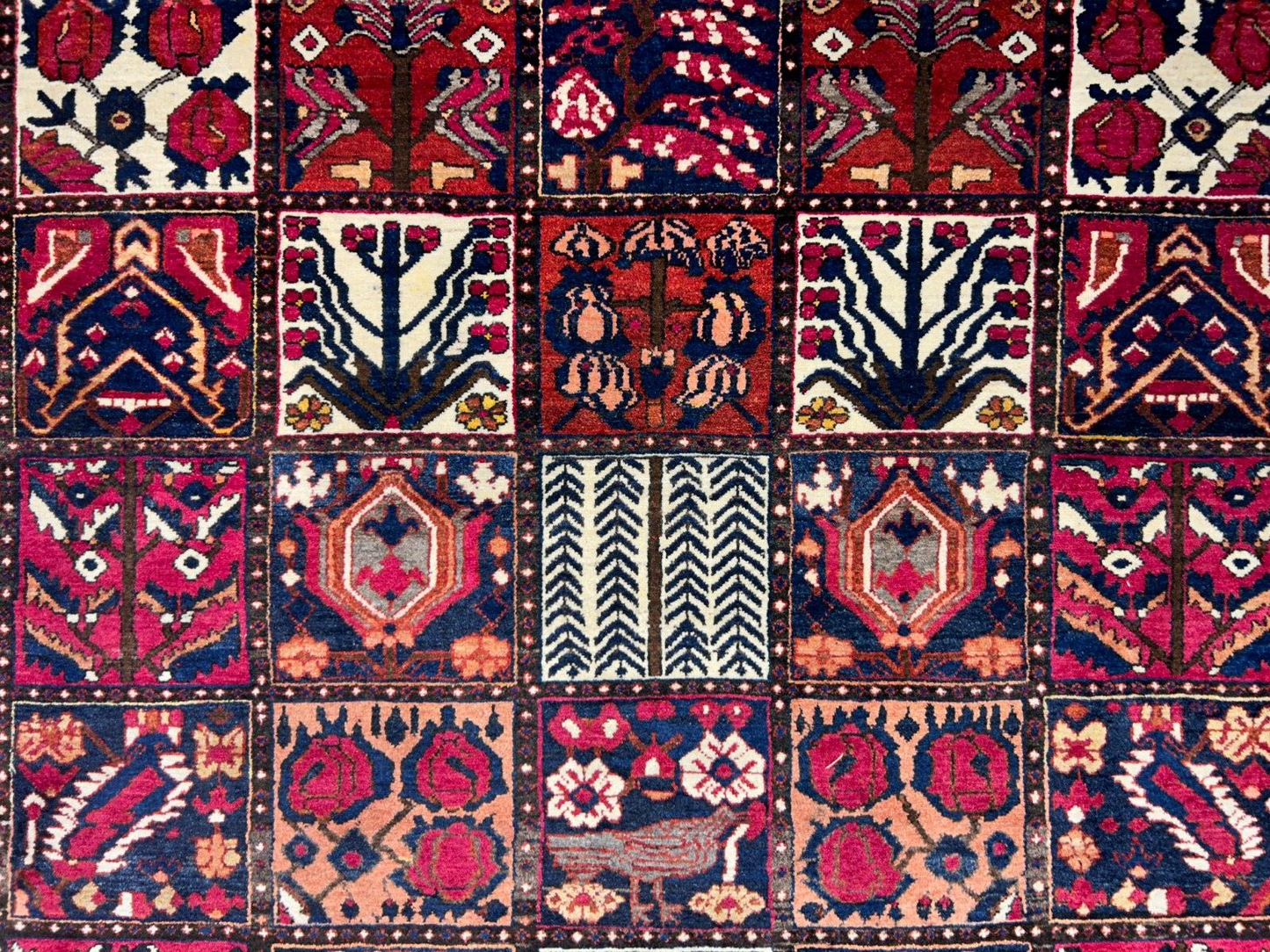 7'1"x10'1" Hand-Knotted 100% Lamb Wool Bakhtiarie Carpet - Area Rug