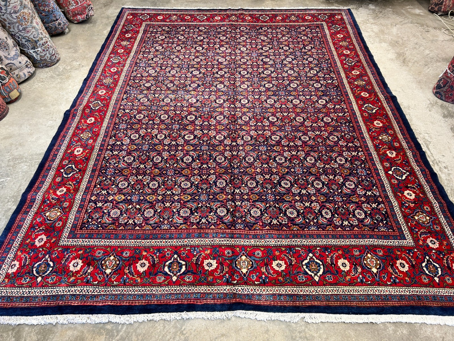 10'5"x14' Hand-Knotted 100% Wool Pile All-over Herati Rug