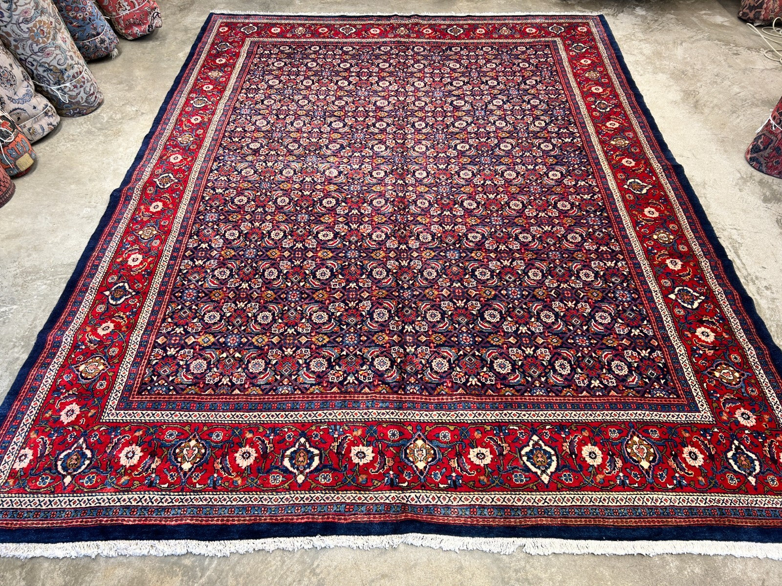 10'5"x14' Hand-Knotted 100% Wool Pile All-over Herati Rug