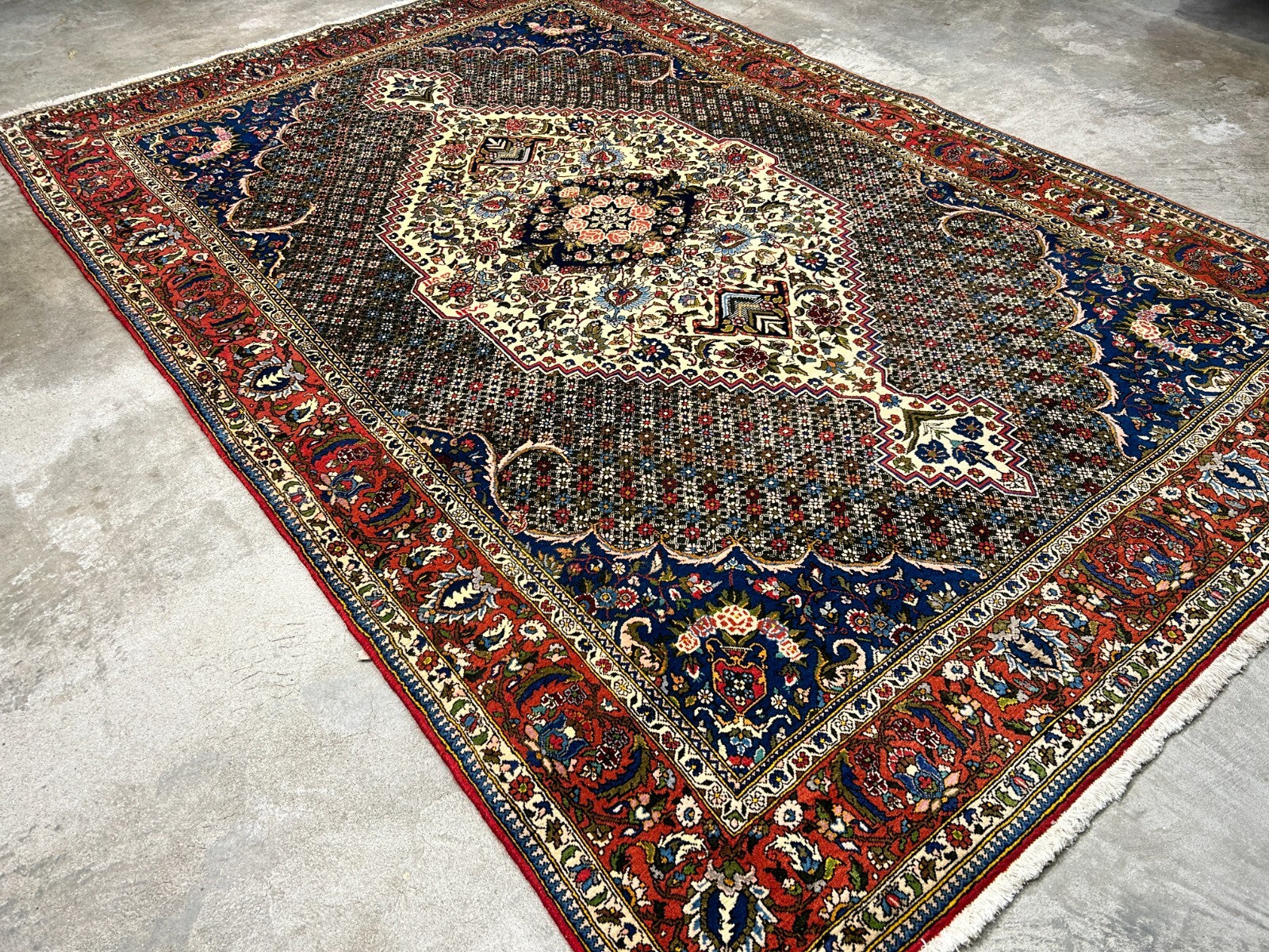 6'7"x9'9" Hand-Knotted 100% Wool Pile Bakhtiarie Carpet - Area Rug