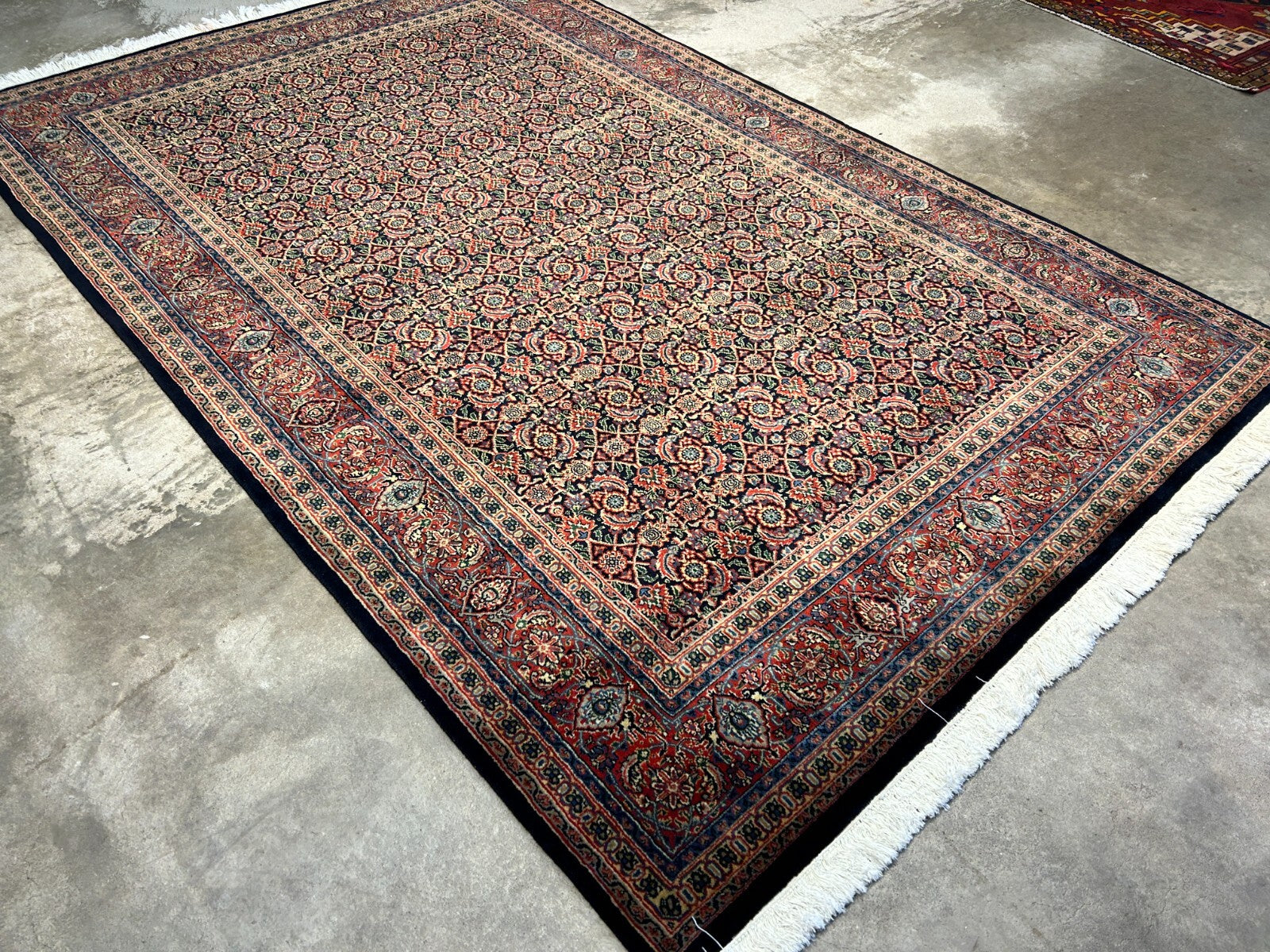 6'x9'2" Hand-Knotted 100% Wool Pile Herati Carpet - Area Rug