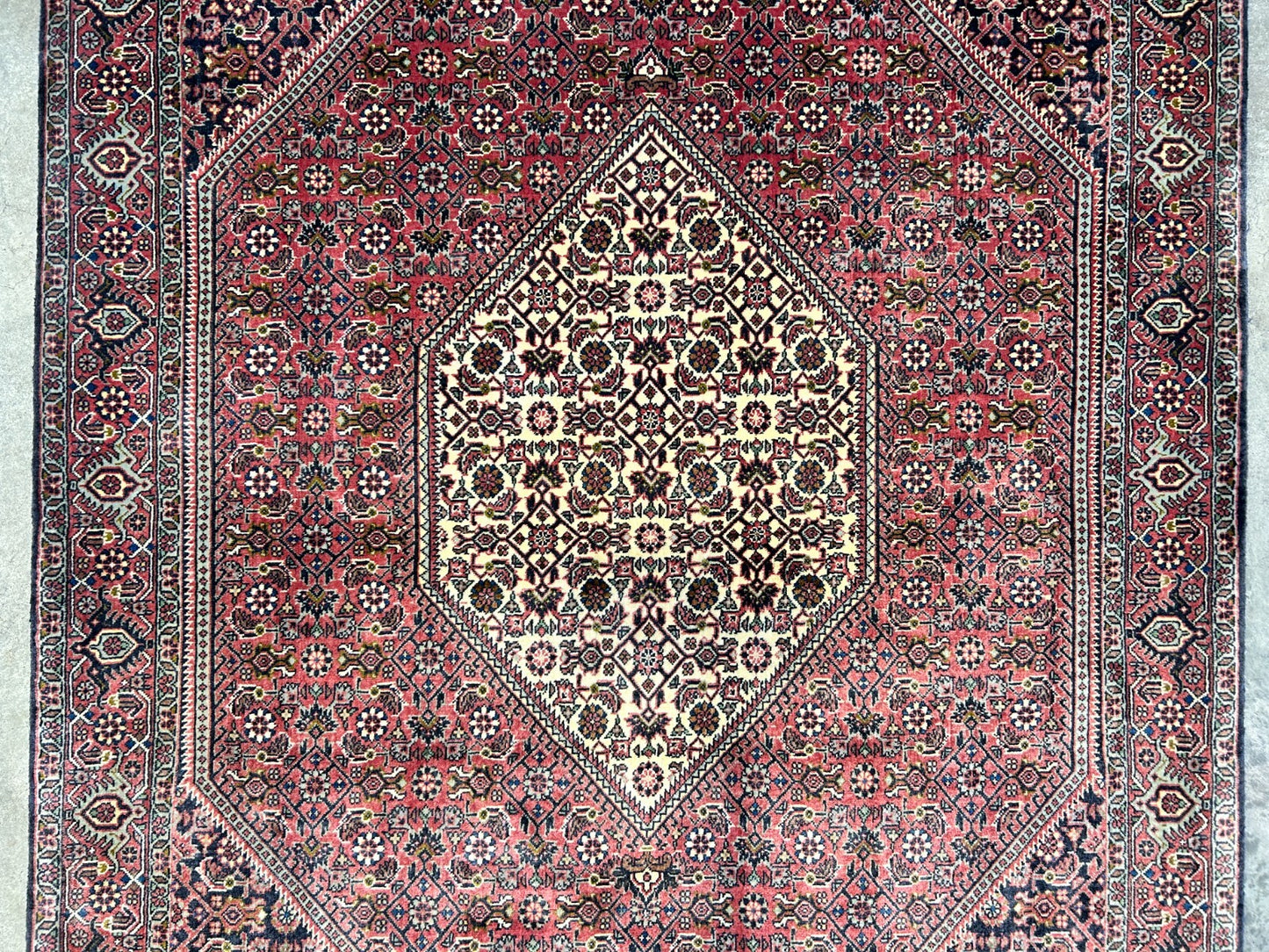 3'8"x5'10" Hand-Knotted 100% Wool Bidjare Carpet - Area Rug
