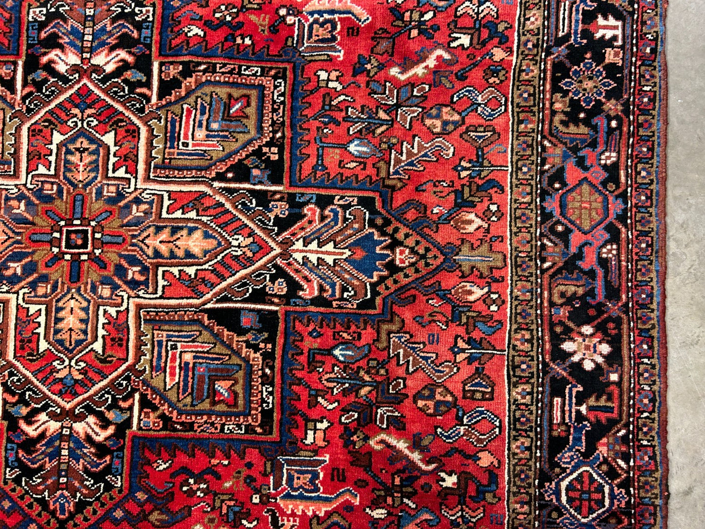 8'2"x11'1" Hand-Knotted 100% Wool Pile Herize Rug