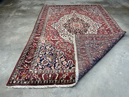 7'0"x10'3" Hand-Knotted 100% Wool Pile Bakhtiarie Carpet - Area Rug