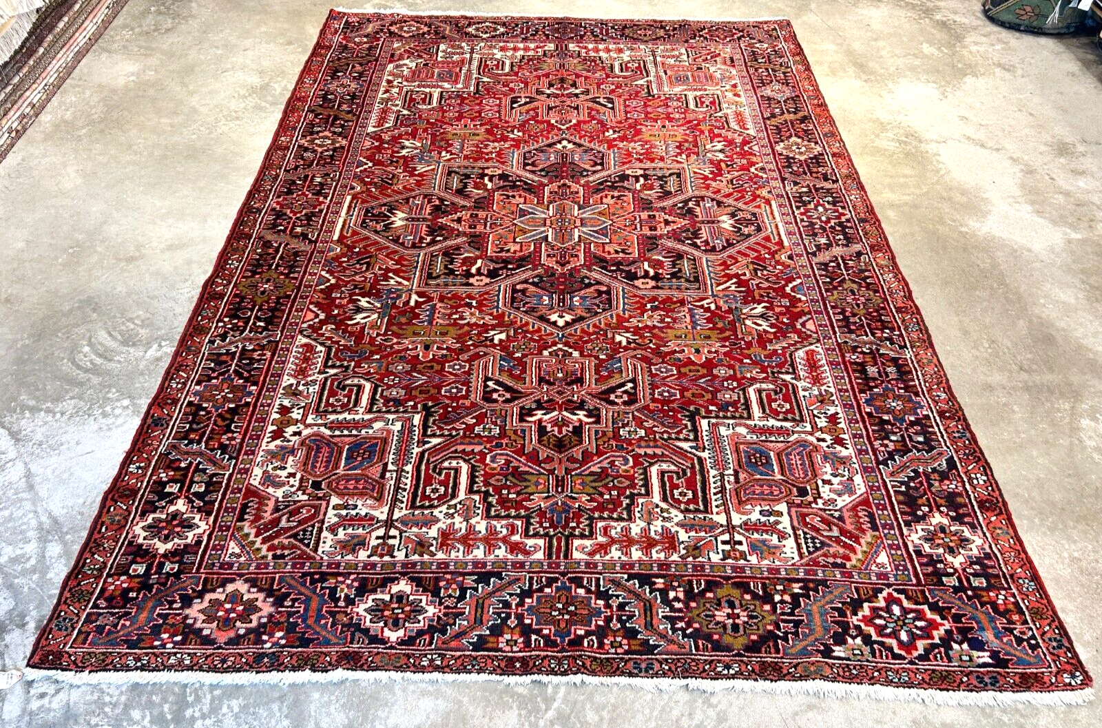 7'10"x11'4" Hand-Knotted 100% Wool Pile Herize Rug