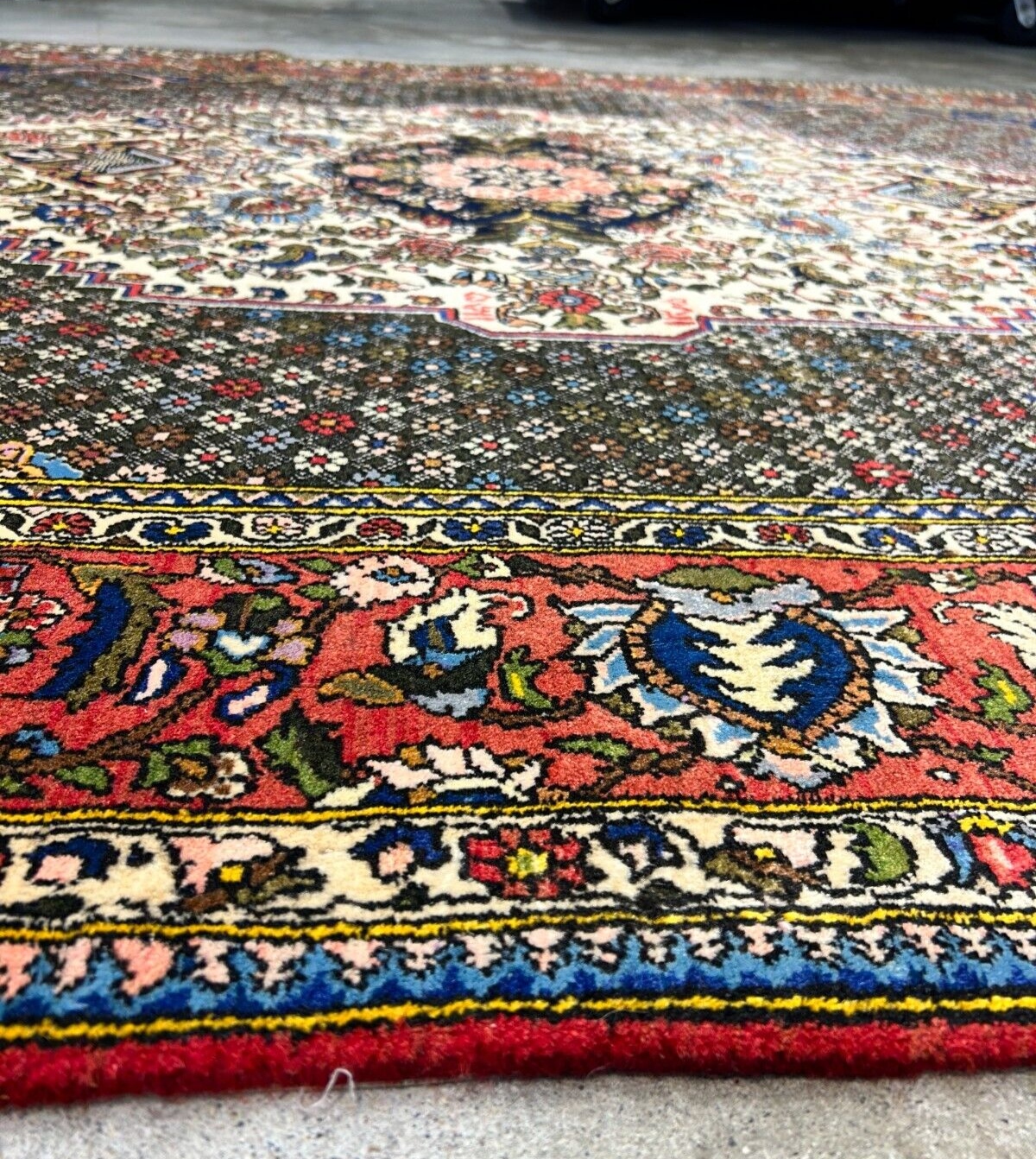 6'7"x9'9" Hand-Knotted 100% Wool Pile Bakhtiarie Carpet - Area Rug