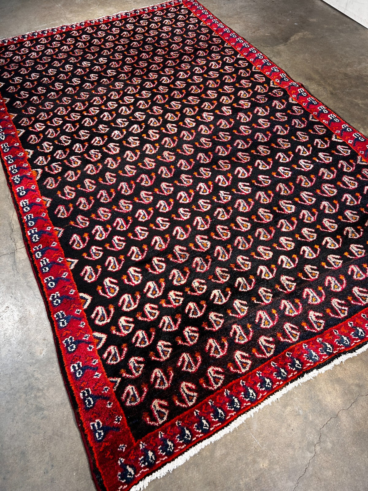 5' x 8'1" Hand-Knotted 100% Wool Pile Mosole Hamadane Area Rug - Carpet