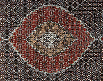 8'3"x11'5" Fine Hand-Knotted Wool & Silk Oriental Rug - Area Carpet