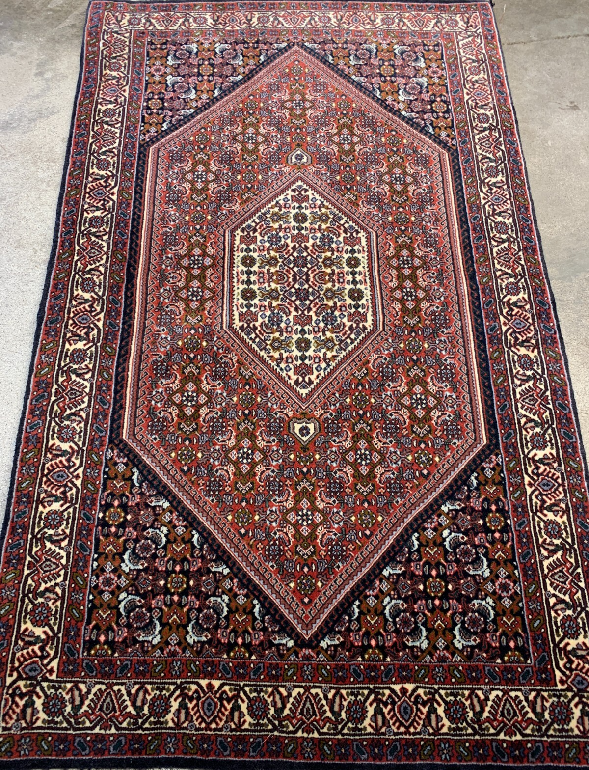 2'11"x4'11'' Hand-Knotted 100% Wool Bidjare Area Rug - Area Carpet