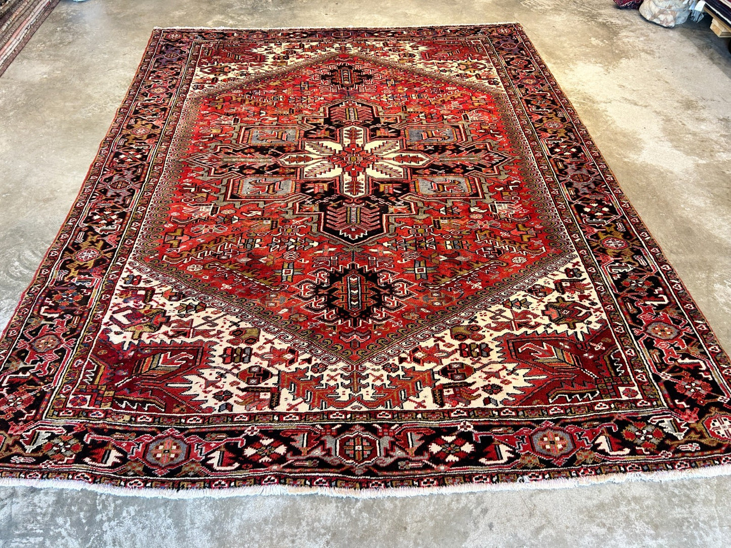9'x11'5" Hand-Knotted 100% Wool Pile Herize Rug