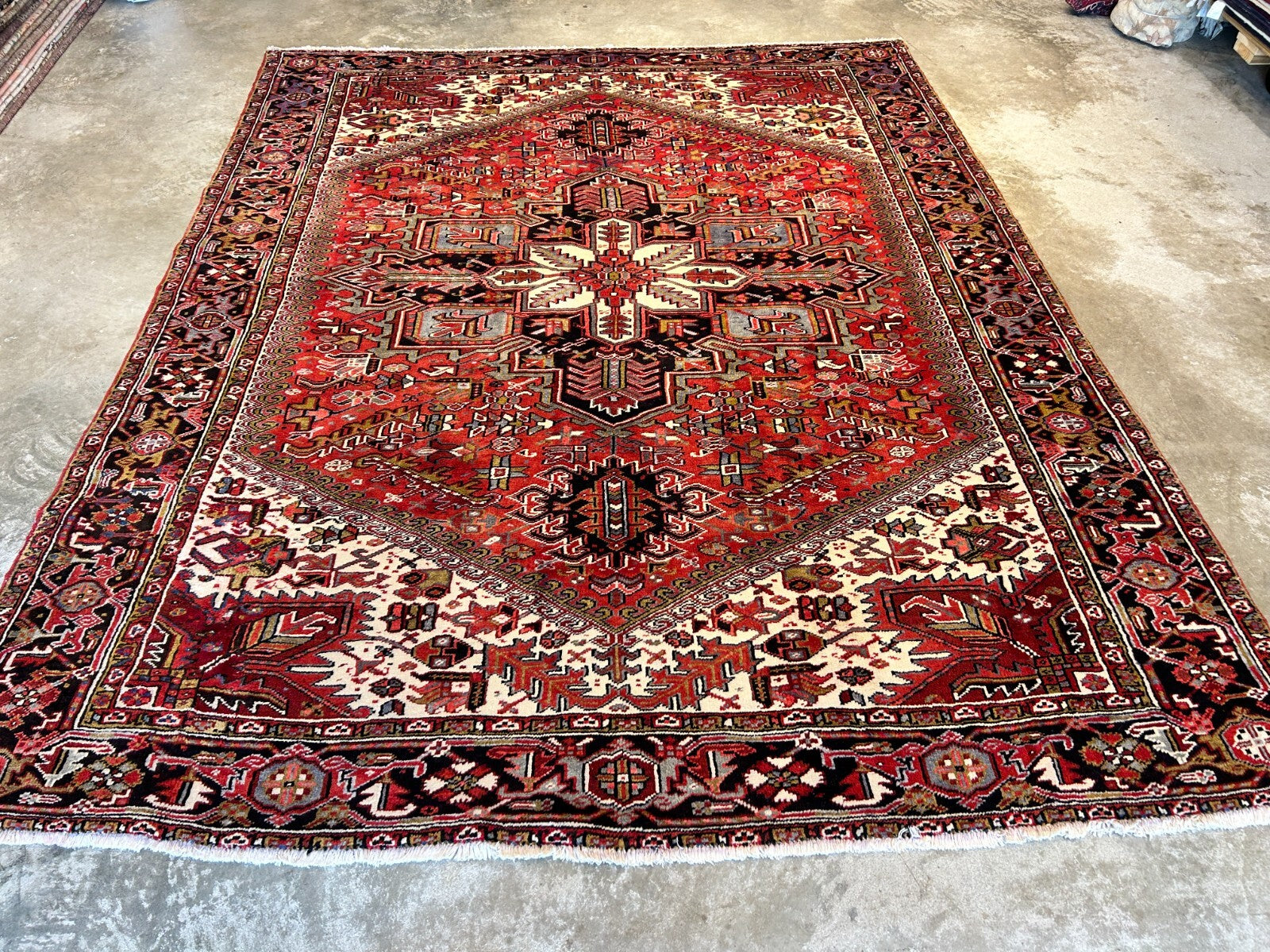 9'x11'5" Hand-Knotted 100% Wool Pile Herize Rug