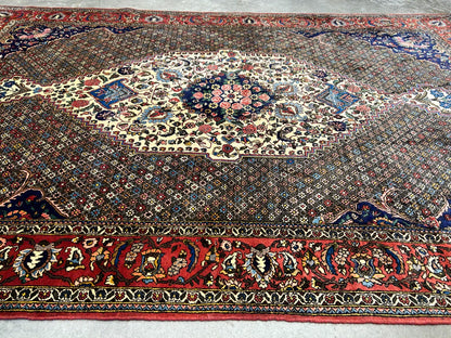 6'6"x10'0" Hand-Knotted 100% Wool Pile Bakhtiarie Carpet - Area Rug