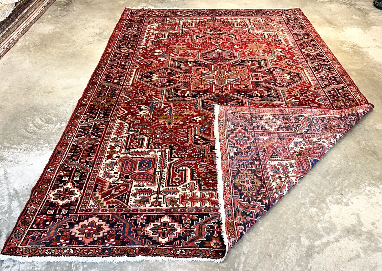 7'10"x11'4" Hand-Knotted 100% Wool Pile Herize Rug