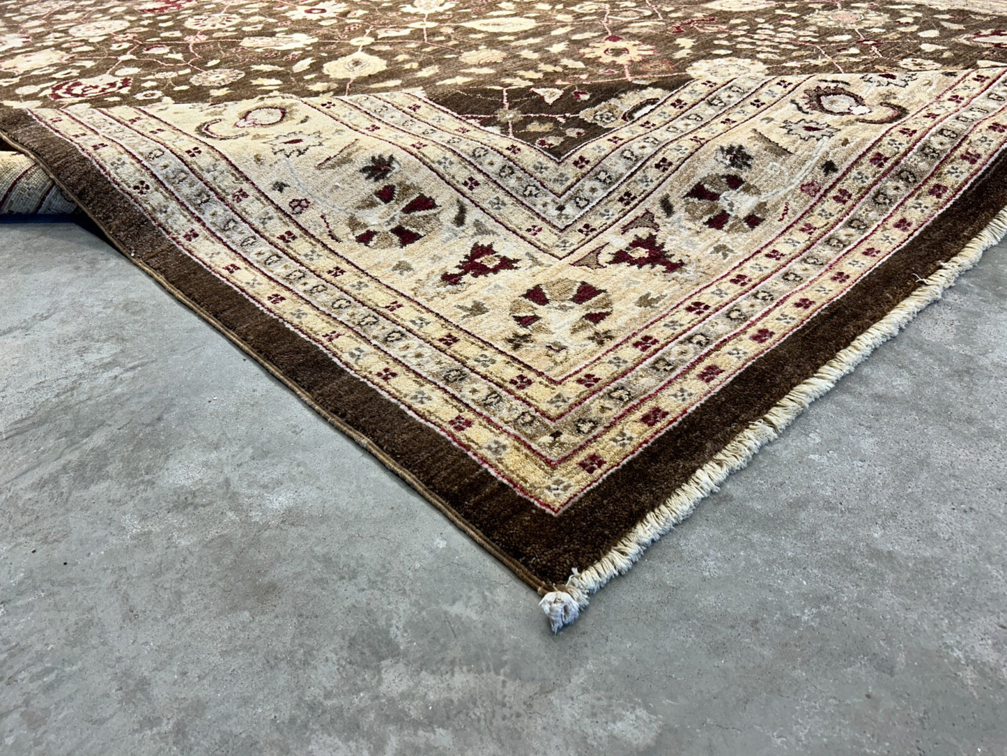 9'3"x12' Hand-Knotted 100% Wool Pile Agra Design Carpet - Area Rug