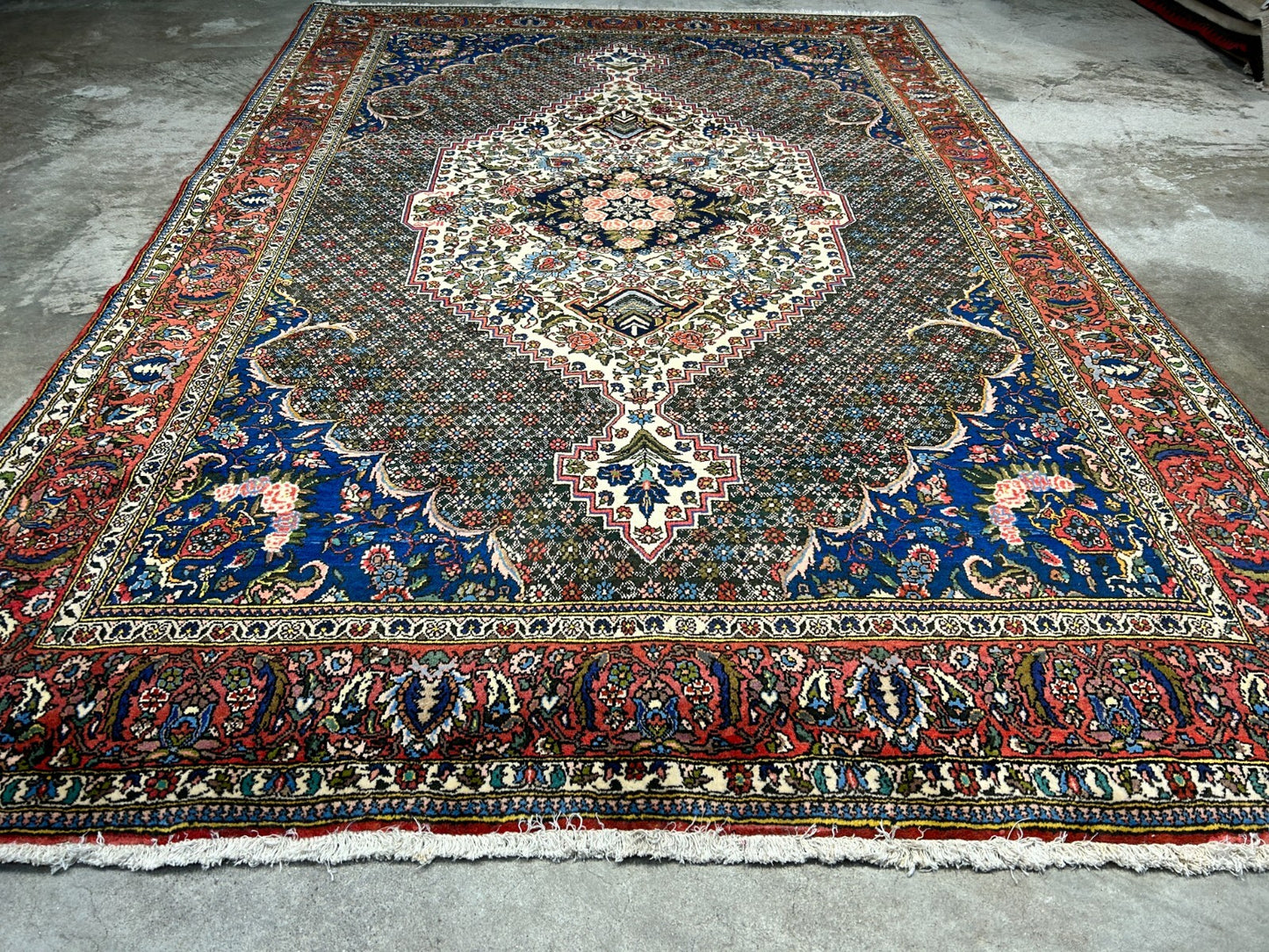 6'7"x9'9" Hand-Knotted 100% Wool Pile Bakhtiarie Carpet - Area Rug