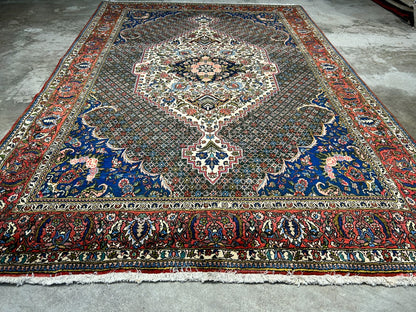 6'7"x9'9" Hand-Knotted 100% Wool Pile Bakhtiarie Carpet - Area Rug