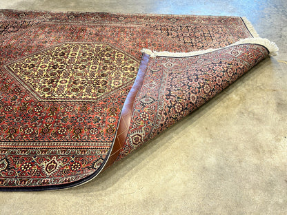 3'8"x5'10" Hand-Knotted 100% Wool Bidjare Carpet - Area Rug