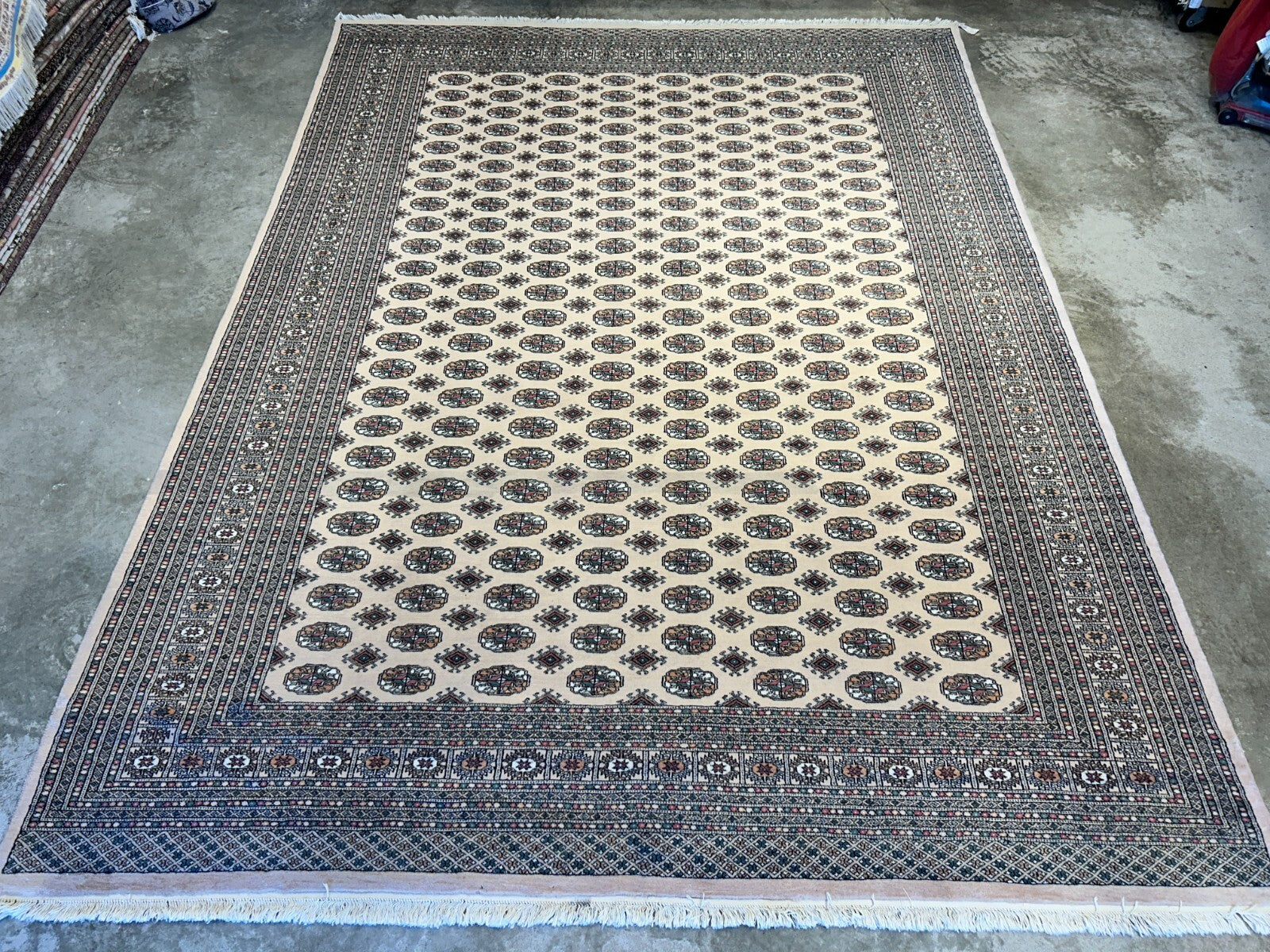 9'3"x12'6" Hand-Knotted 100% Wool Pile Bokhara Rug