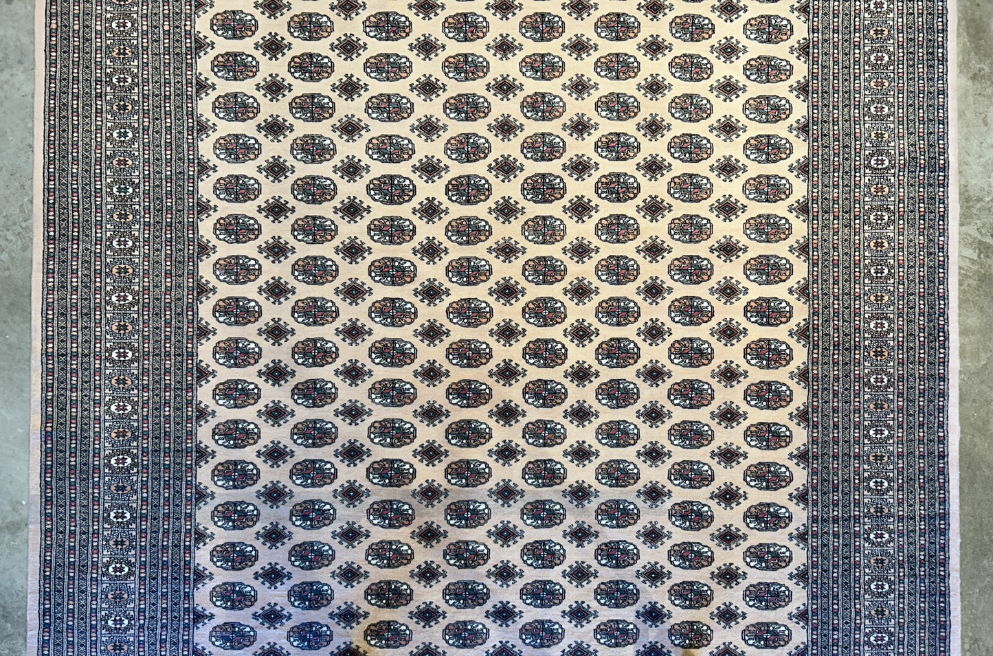 9'3"x12'6" Hand-Knotted 100% Wool Pile Bokhara Rug