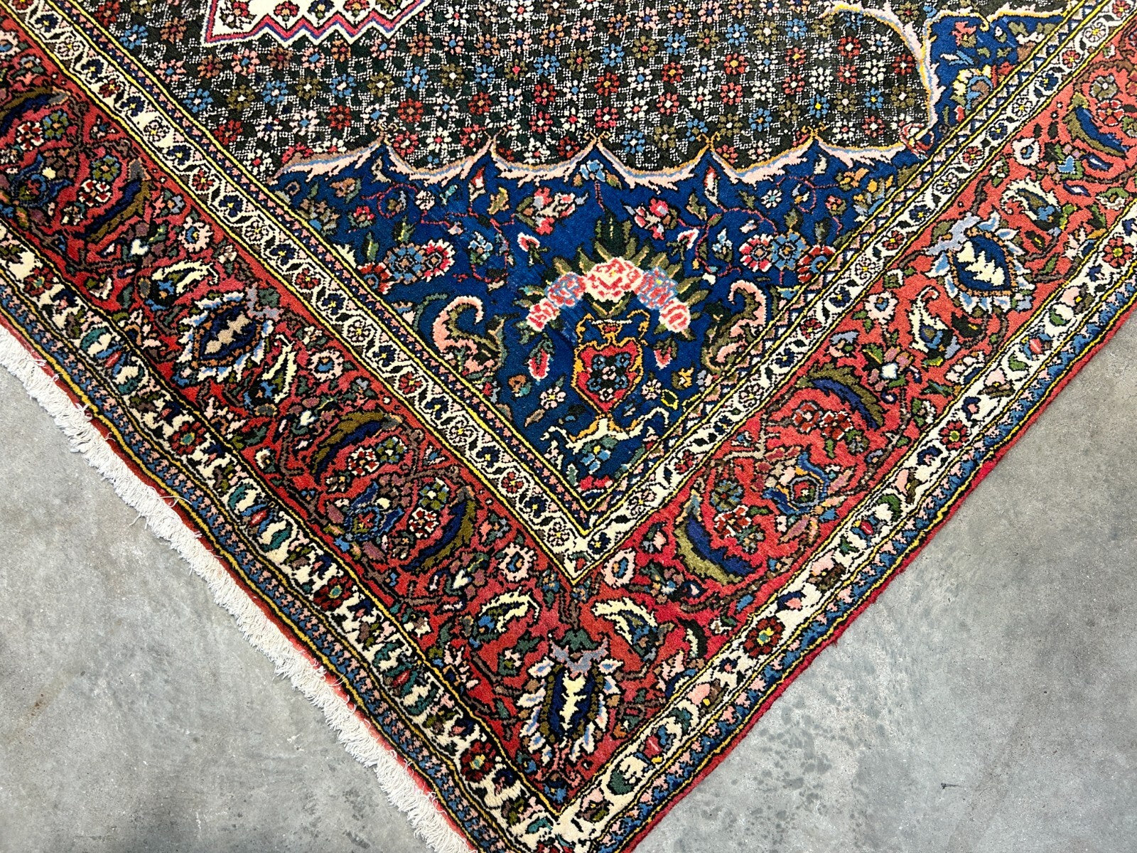 6'7"x9'9" Hand-Knotted 100% Wool Pile Bakhtiarie Carpet - Area Rug