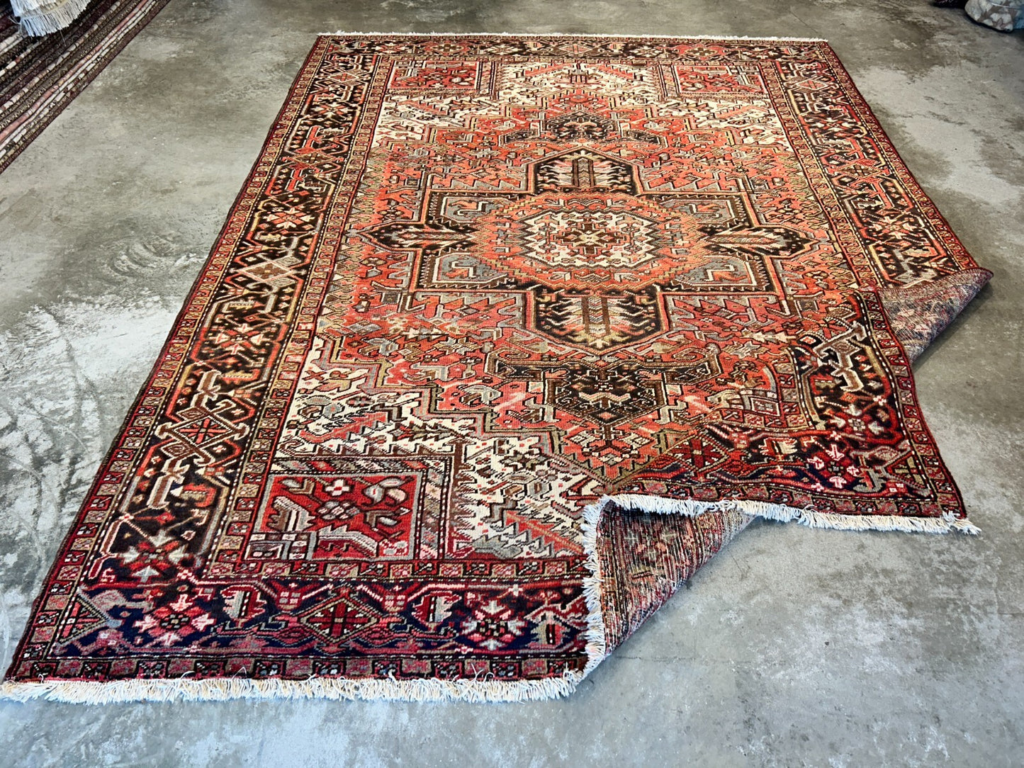 8'10"x11'8" Hand-Knotted 100% Wool Pile Herize Rug