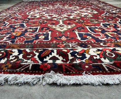 6'8"x9'9" Hand-Knotted 100% Wool Pile Bakhtiarie Carpet - Area Rug