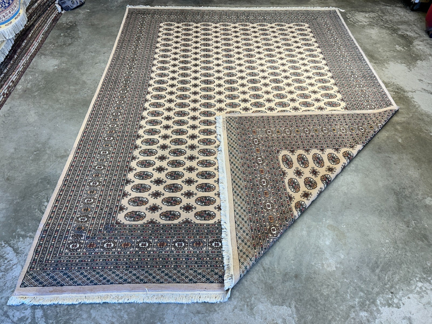 9'3"x12'6" Hand-Knotted 100% Wool Pile Bokhara Rug