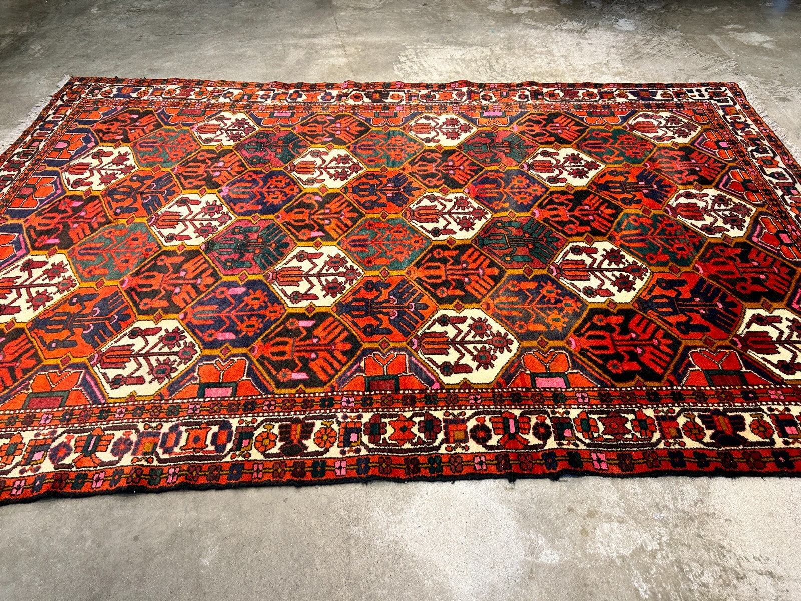 6'9"x9'9" Hand-Knotted 100% Lamb Wool Bakhtiarie Carpet - Area Rug