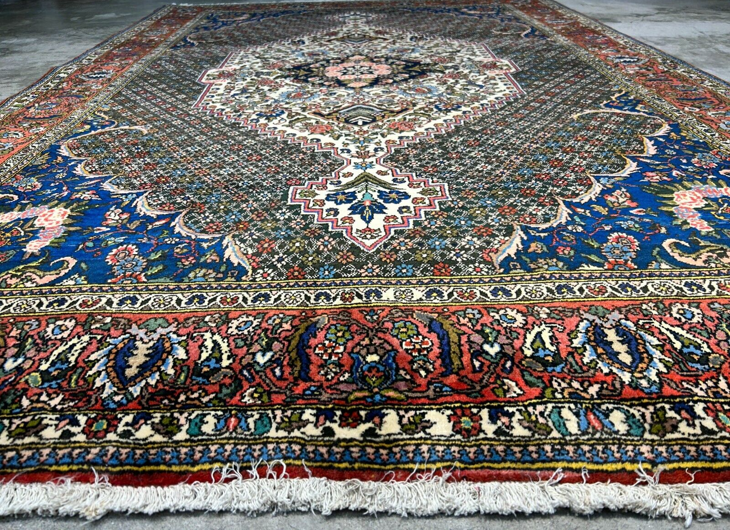 6'7"x9'9" Hand-Knotted 100% Wool Pile Bakhtiarie Carpet - Area Rug