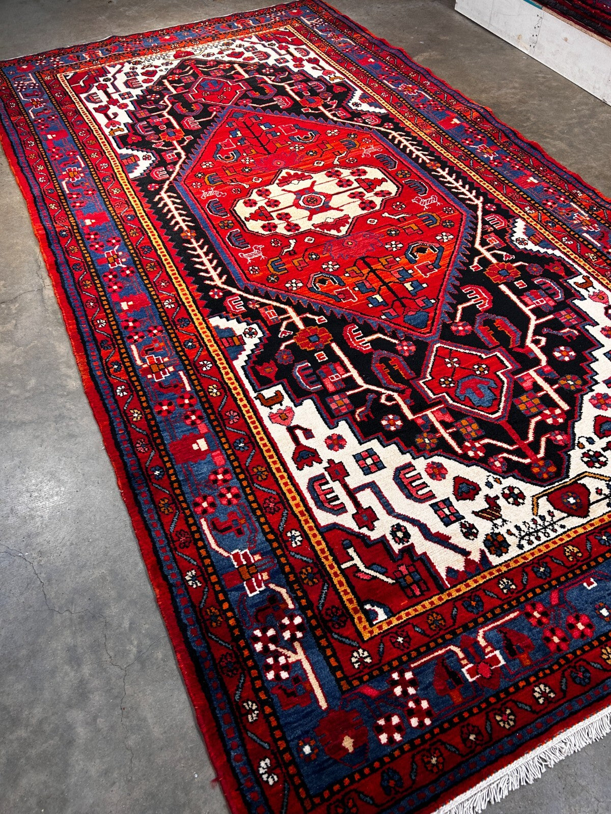 5'10" x 10'11" Hand-Knotted 100% Wool Pile Nahavande Area Rug